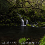 【2021年最新版】山形県で片思いが成就する神社・お寺はここ!